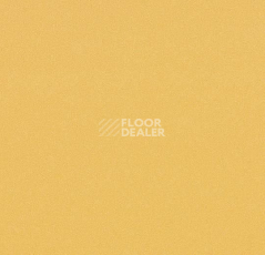 Линолеум Forbo Modul'up Compact Colour 4805UP43C golden stardust фото 1 | FLOORDEALER